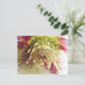 Carte Postale Hellebore Blanc Et Violet (Debout devant)
