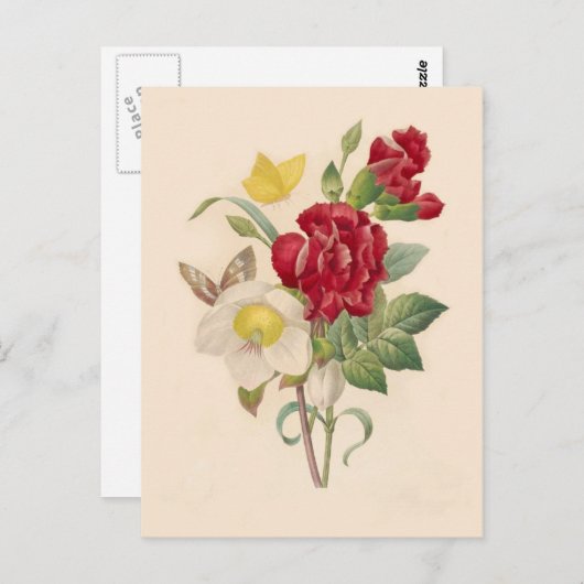 Carte Postale Hellebores et oeillets de Pierre-Joseph Redouté (Devant / Derrière)