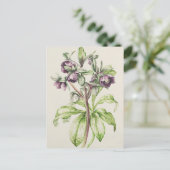 Carte Postale Helleborus Orientalis de Helen Ballard (Debout devant)