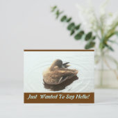 Carte postale Hello (Debout devant)