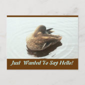 Carte postale Hello (Devant)