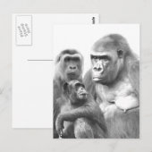Carte postale Hello_ (Devant / Derrière)