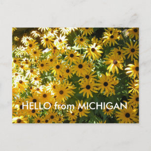 Carte Postale HELLO de MICHIGAN POST CARD POSTCARD