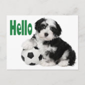 Carte postale Hello Havanese Puppy Doing (Devant)