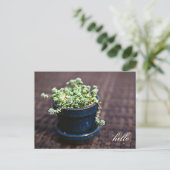 Carte postale Hello Mini Succulents (Debout devant)