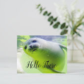 Carte Postale Hello There mignon Seal (Debout devant)