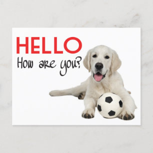 Carte Postale Hello Yellow Labrador Retriever Post Card