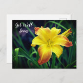 Carte Postale Hémérocalle jaune et orange Remettez-vous vite (Devant / Derrière)