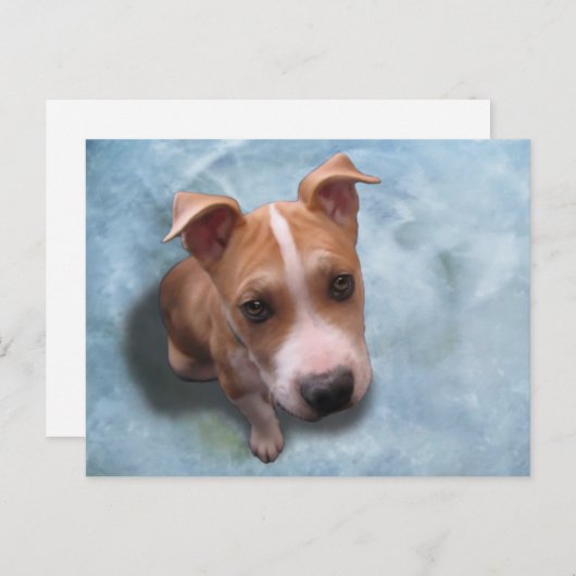 Carte Postale Hemi le chiot à puces (Devant / Derrière)