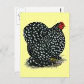 Carte Postale Hen Cochin Bouché (Devant / Derrière)