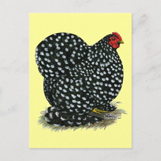 Carte Postale Hen Cochin Bouché (Devant)