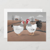Carte Postale Hen & Rooster (Devant / Derrière)