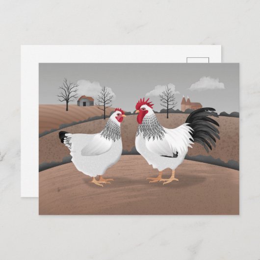 Carte Postale Hen & Rooster (Devant / Derrière)