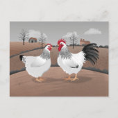 Carte Postale Hen & Rooster (Devant)