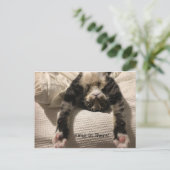 Carte Postale Henry Cat S'en sortir bientôt Encouragement ou Sym (Debout devant)