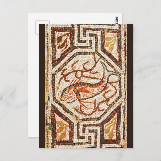Carte Postale Heraclea Fish Mosaic (Devant / Derrière)