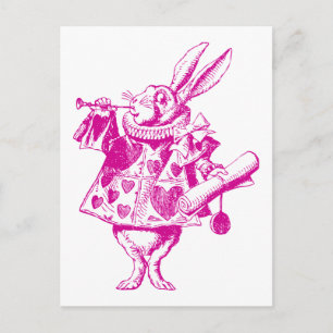 Carte Postale Héraut de lapin blanc rose
