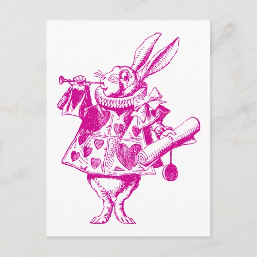 Carte Postale Héraut de lapin blanc rose (Devant)
