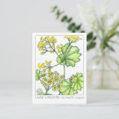 Carte Postale Herbal de la monographie de Mantle Materia Medica  (Debout devant)