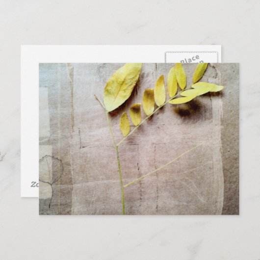 Carte Postale Herbarium V (Devant / Derrière)