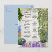 Carte Postale Herbe de Provence Mélange d'épices Recette Françai (Devant / Derrière)