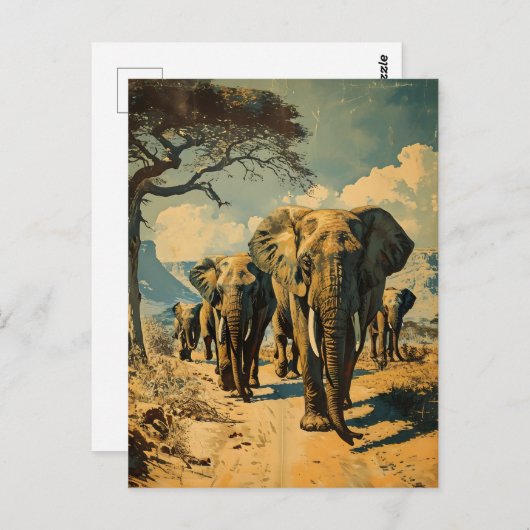 Carte Postale Herbe d'éléphants Vintage (Devant / Derrière)
