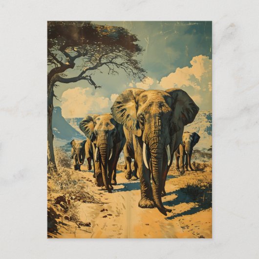Carte Postale Herbe d'éléphants Vintage (Devant)