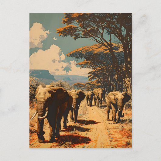Carte Postale Herbe d'éléphants Vintage (Devant)