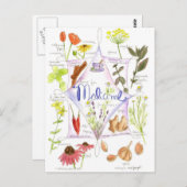 Carte Postale Herbe médicinale Echinacea ail Pavot (Devant / Derrière)