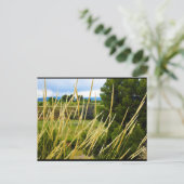 Carte Postale Herbe sauvage de campagne (Debout devant)