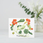 Carte Postale Herbe - Série de jardins - Nasturtium (Debout devant)