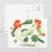 Carte Postale Herbe - Série de jardins - Nasturtium (Devant / Derrière)