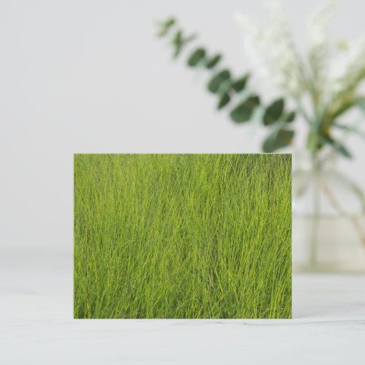 Carte Postale Herbe verte (Debout devant)