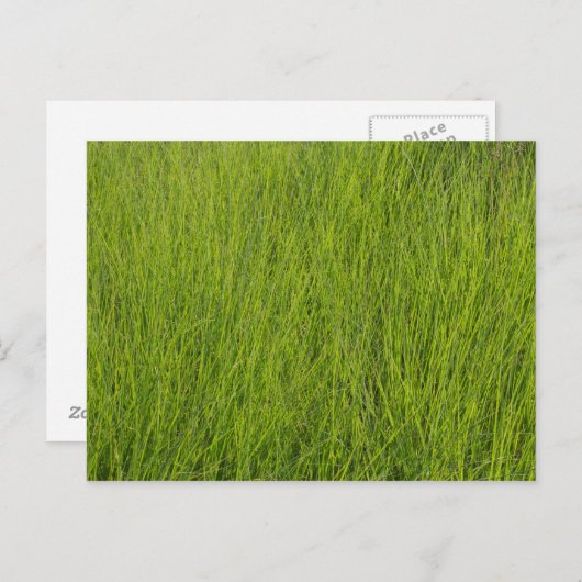 Carte Postale Herbe verte (Devant / Derrière)