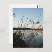 Carte Postale Herbes au lac Sunset (Devant / Derrière)