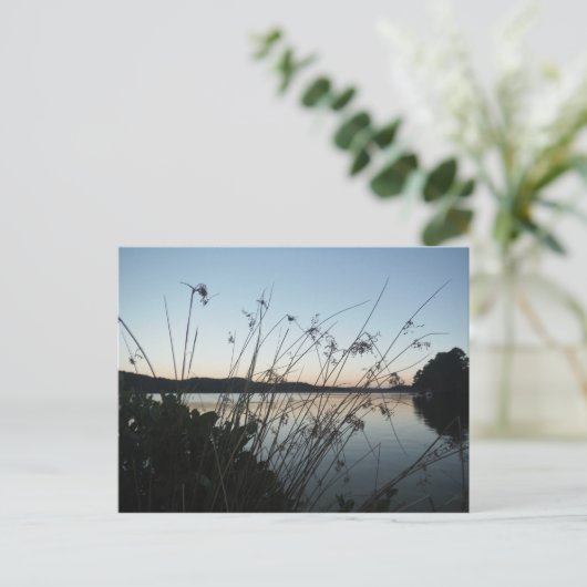 Carte Postale Herbes au lac Sunset (Debout devant)
