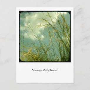 Carte Postale Herbes Ciel Summerfield
