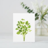 Carte Postale Herbes de persil Aquarelle de persil plante vert (Debout devant)