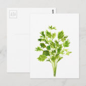 Carte Postale Herbes de persil Aquarelle de persil plante vert (Devant / Derrière)