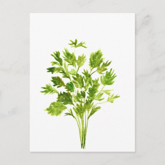 Carte Postale Herbes de persil Aquarelle de persil plante vert (Devant)