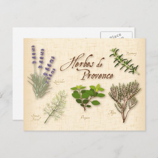Carte postale Herbes de Provence (Devant / Derrière)