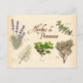 Carte postale Herbes de Provence (Devant)