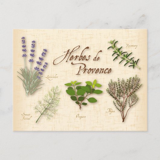 Carte postale Herbes de Provence (Devant)