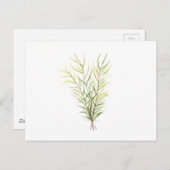 Carte Postale Herbes de romarin (Devant / Derrière)