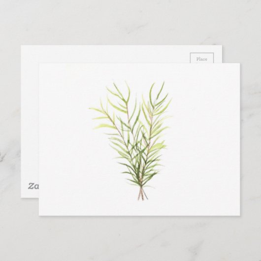 Carte Postale Herbes de romarin (Devant / Derrière)