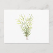 Carte Postale Herbes de romarin (Devant)