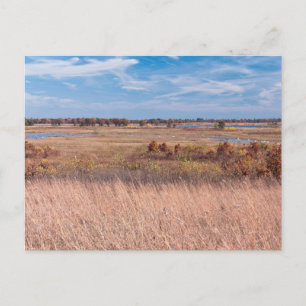 Carte Postale herbes des prairies et zones humides à necedah car