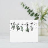 Carte Postale Herbes du jardin (Debout devant)