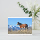 Carte Postale Herbes et montagnes (Debout devant)