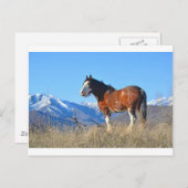 Carte Postale Herbes et montagnes (Devant / Derrière)